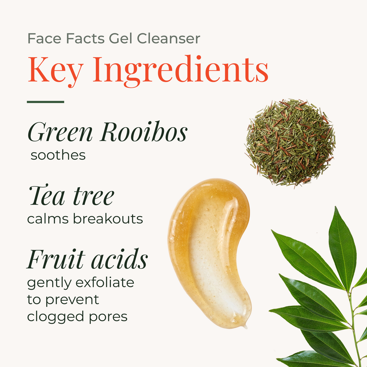 Face Facts Gel Cleanser 200ml