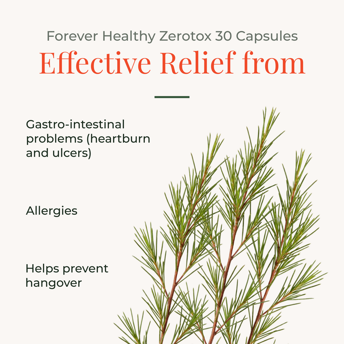 Forever Healthy Zerotox 30 Capsules