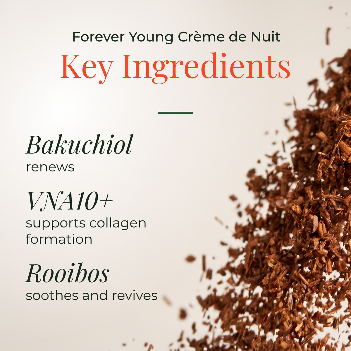 Forever Young Crème de Nuit 50ml