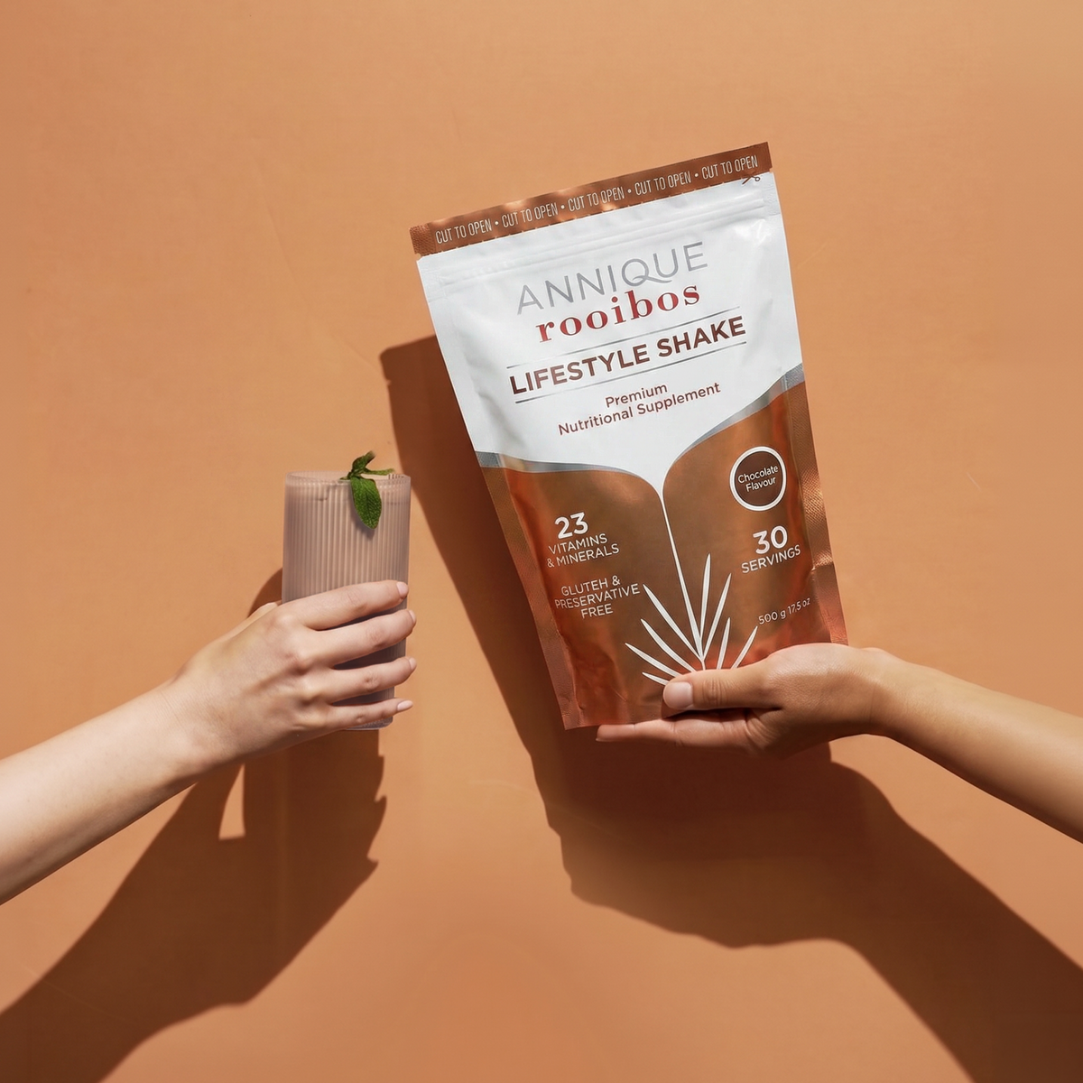 Lifestyle Shake Chocolate 500g