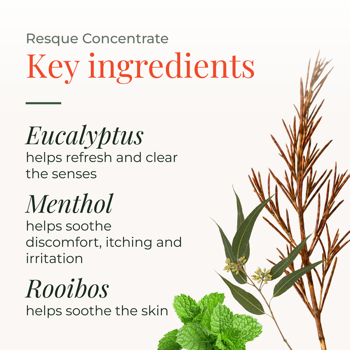 Resque Concentrate 10ml