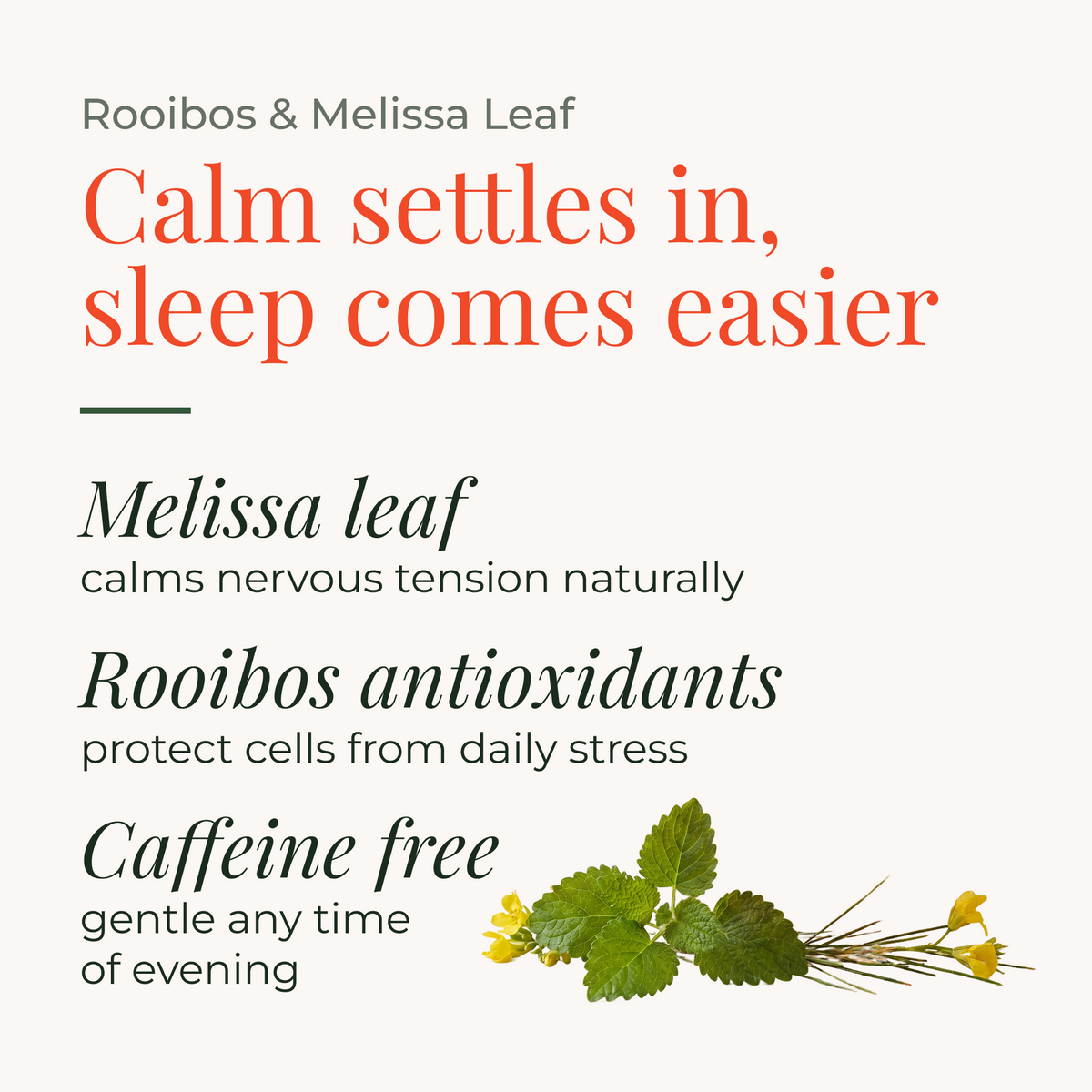 Rooibos & Melissa Leaf 50g