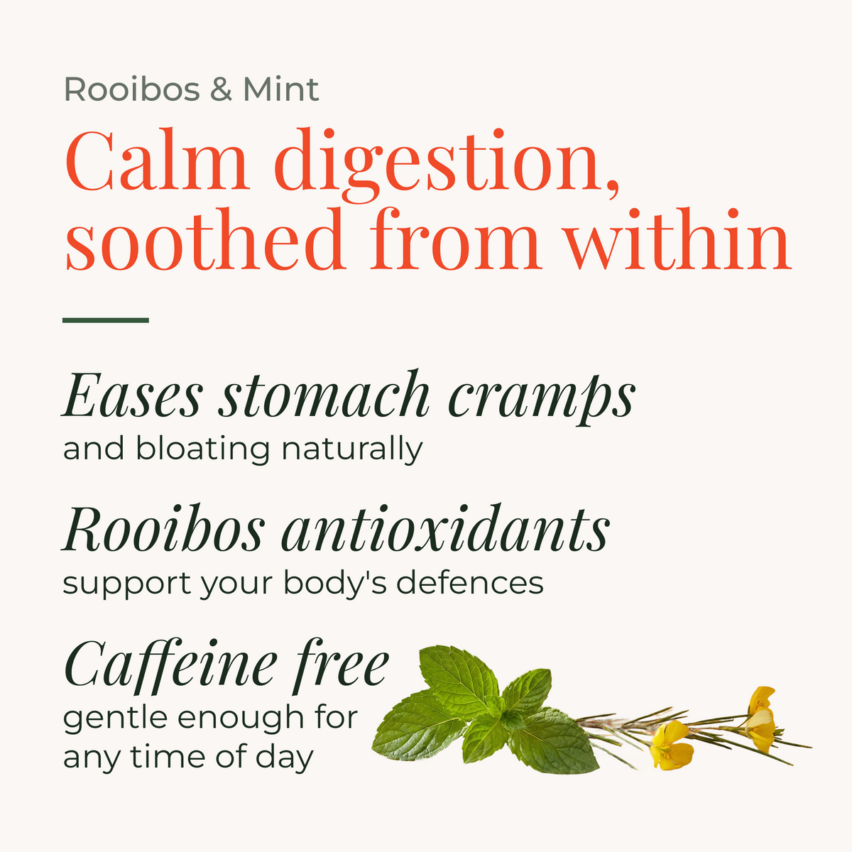 Rooibos & Mint 50g