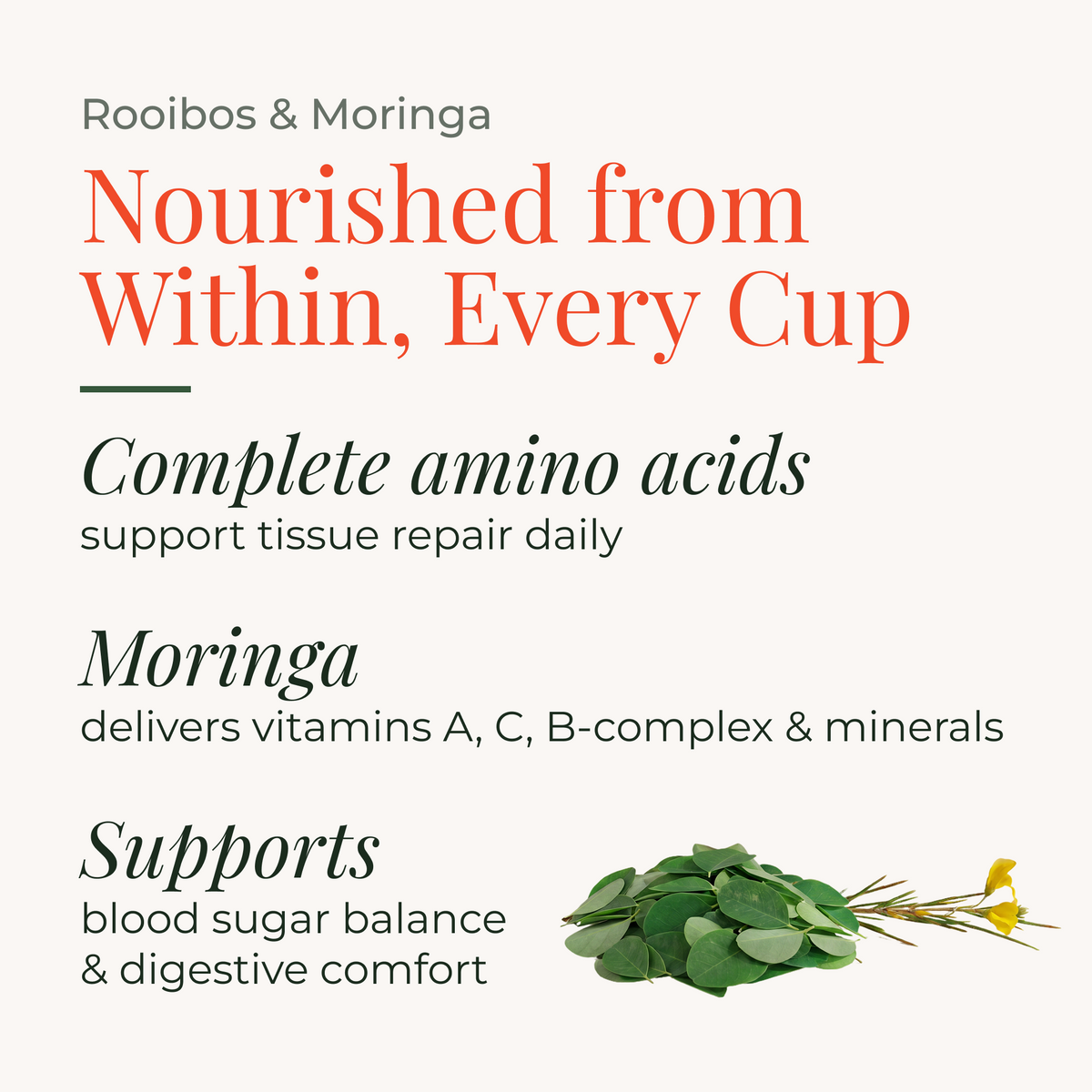 Rooibos & Moringa 50g