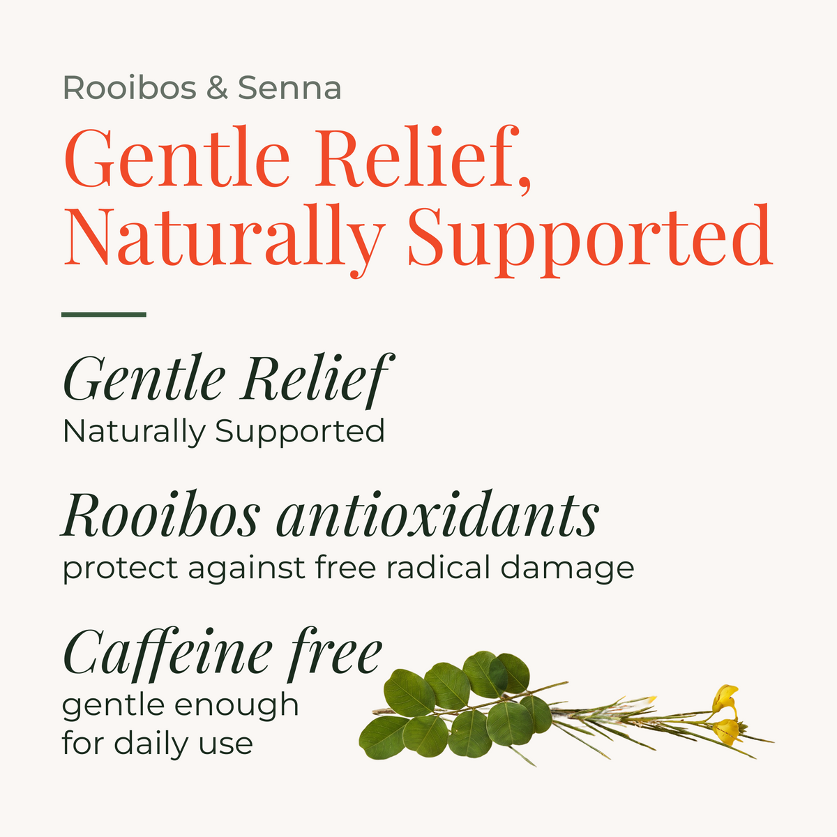Rooibos & Senna 50g