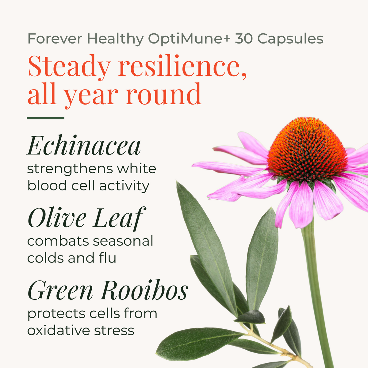 Forever Healthy OptiMune+ 30 Capsules