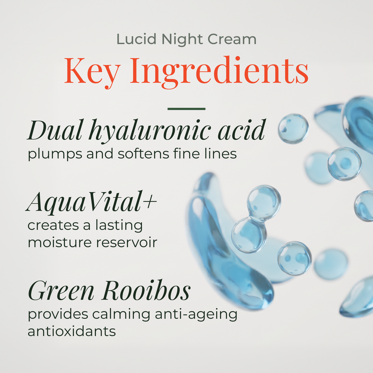 Lucid Night Cream 50ml