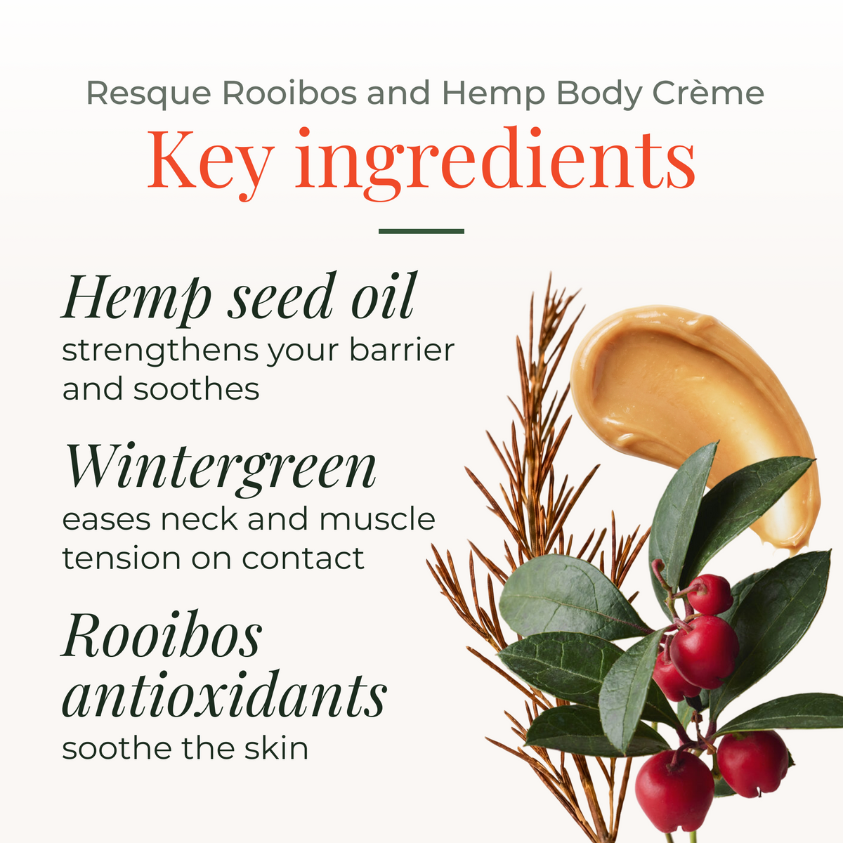 Resque Rooibos and Hemp Body Crème 250ml